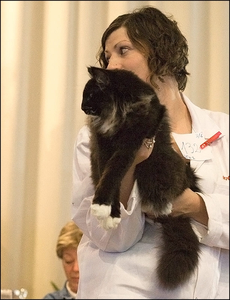 Cetsuko de Maneki Neko 4.jpg - Cetsuko de Maneki Neko